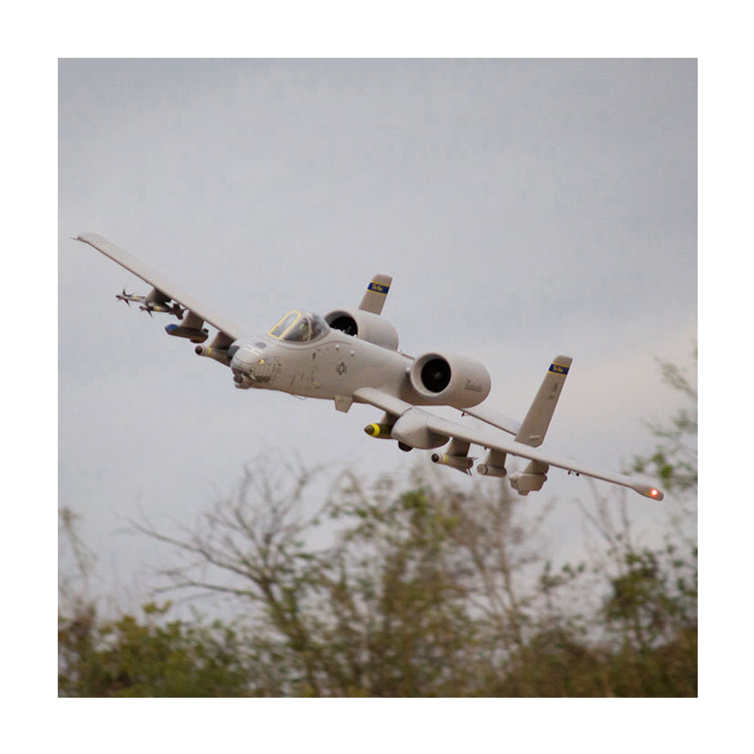 Freewing A-10 Thunderbolt II Warthog Twin 80mm EPO 1700mm PNP